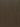 Brownish Oak