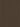Golden Dark Brown