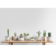 Porcelain matte interieurfolie sfeerbeeld modern interieur