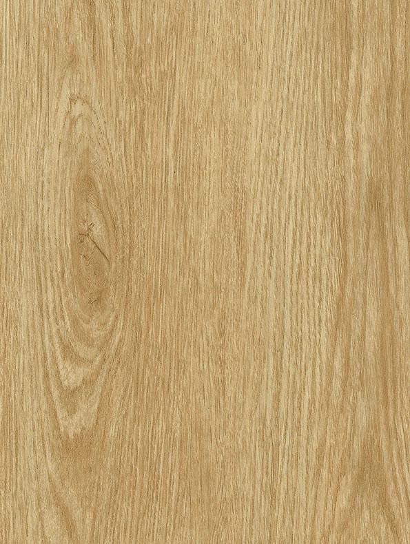 Tan Oak - 122 cm - houtlook