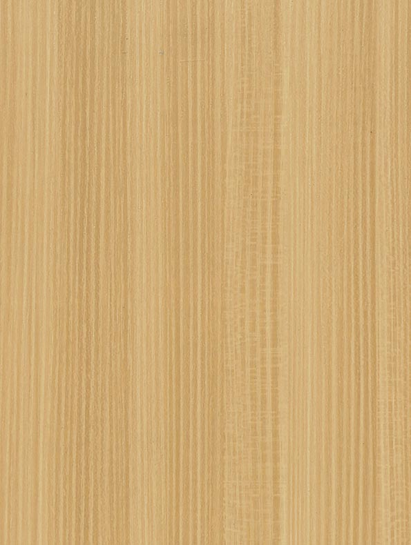 Yellow Pine - 122 cm - houtlook